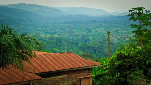 ConitheLimited's tweet image. Purely #Nigerian