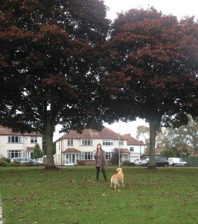 orlaguidedog's tweet photo. @FriendsofCLP Autumn #FridayFreeRun https://t.co/FAIvDsThVw