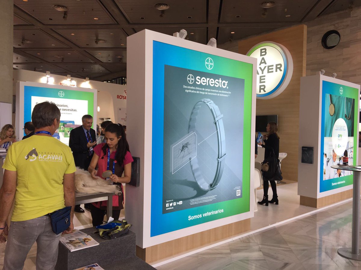 seresto_es's tweet photo. Seguimos en el congreso de #avepasevc 🐶 Pasaros por el estand de @BayerEspana https://t.co/q9KdZwW9dC