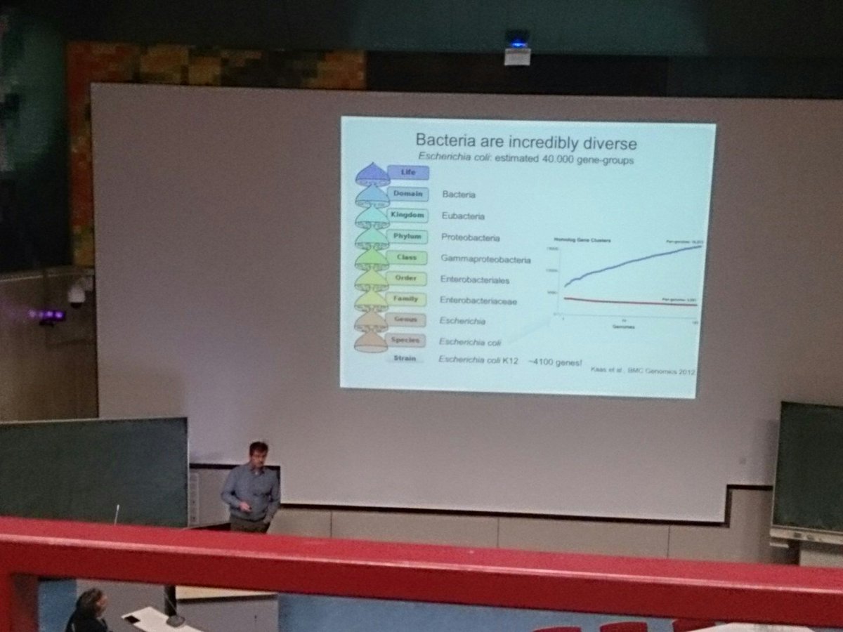 ReindertN's tweet photo. Sacha: thinking you exactly know what your dealing with if you have identified your bug at species level is "bollocks" #GMM2016 https://t.co/rLomo78glx