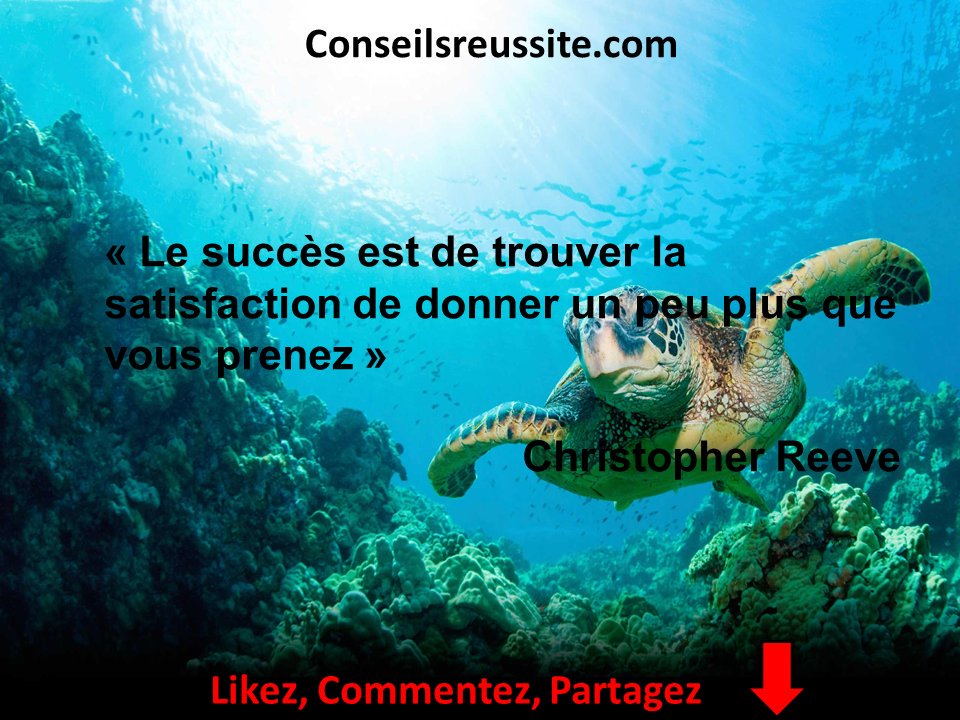 Conseils Réussite tweet media