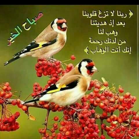 اللهم صلي وسلم وبارك على نبينا محمد وعلى آله وصحبه أجمعين💐