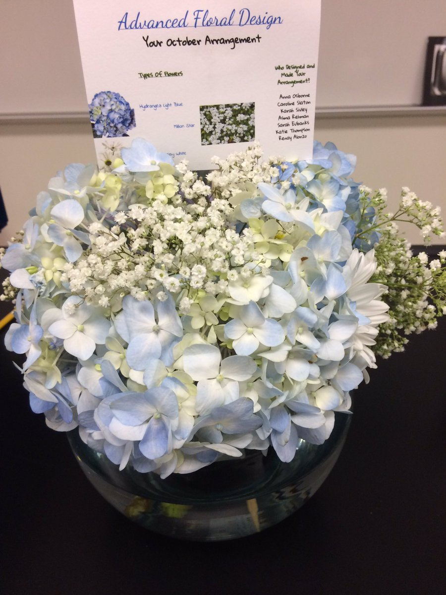 rclarkfhs's tweet photo. Beautiful arrangement purchased from the advanced floral design class at FHS!
#FHS #fhs_science https://t.co/tsz9c0MiRM