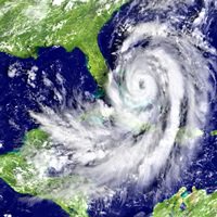 maureendevore01's tweet photo. #HurricaneMatthew losses unlikely to turn the commercial property market. https://t.co/eB1pKm9Asd https://t.co/JMDCXUyG3k
