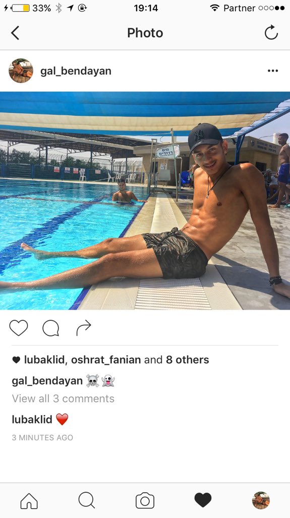 Gal ben dayan tweet media