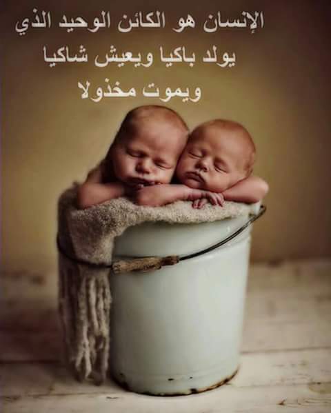 احمد الرسام (@alrsamahm56) on Twitter photo 