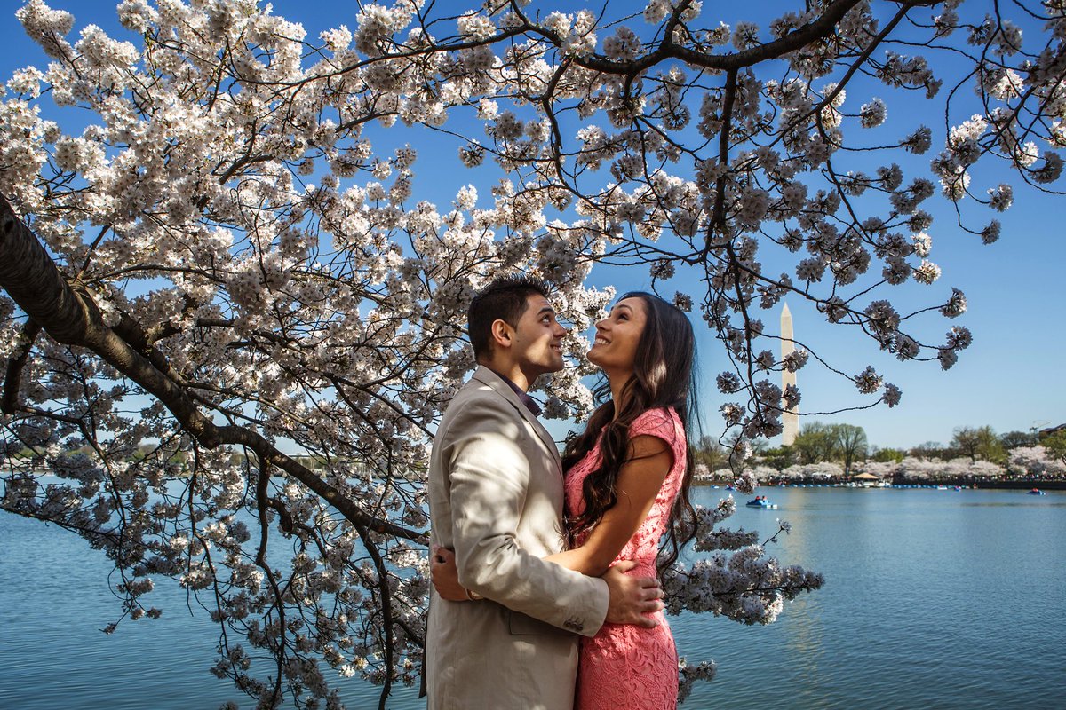 avsphotonvideo's tweet photo. Couple hugging in the cherry blossoms. #EngagementPhotoshoot #EngagementPhotos #EngagementPhotography #Love #Moments https://t.co/4725lApKeV https://t.co/SL7K68SfsH