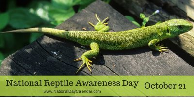 Heather Eck tweet media