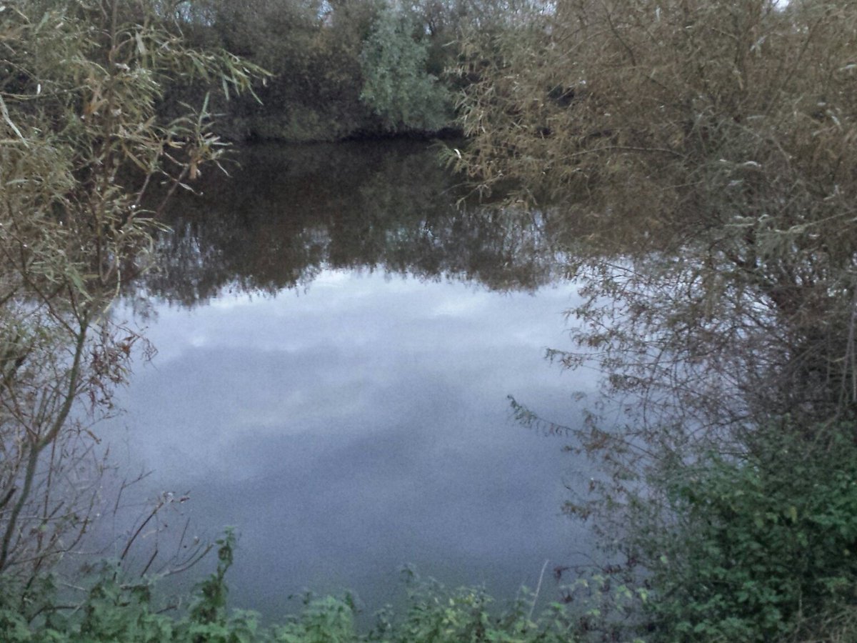 barbelhunters's tweet photo. Time for some Barbel Hunting on the river severn #barbelhunting https://t.co/rgxfzHrapU