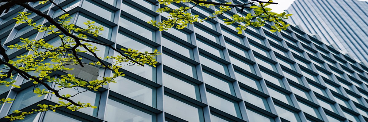 pdccleaning's tweet photo. PDC Cleaning Services Ltd offers #BuildingCleaningServices, we can provide u best #ecofriendly services which make ur surrounding healthy. https://t.co/TfzpG18cpQ
