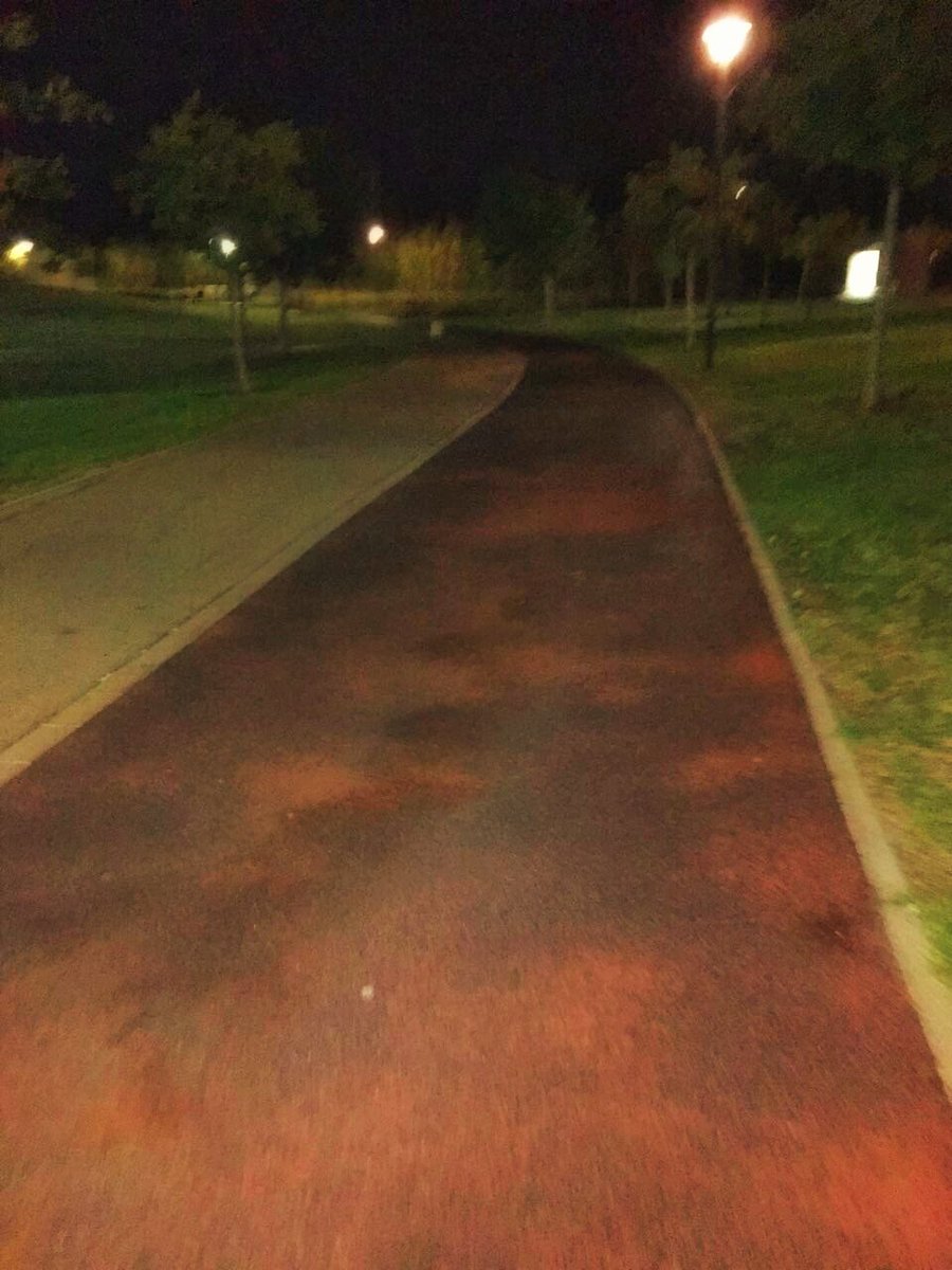 osh15eni's tweet image. זמן מעולה לצאת ולשרוף את ארוחת הערב.והצהריים..ו3שבועות של ג׳אנק פוד בבית חולים/הכל כלול ביוון
🏃🏽‍♀️⚽️
4.5 ק״מ וכוח-Done ✔️
#back_on_track
💪🏽