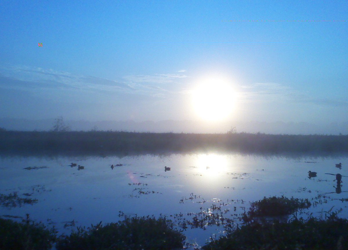 Hard_Core_Decoy's tweet photo. How to Get Kicked Out of a Duck Blind l Read Here: https://t.co/QOI7thvZzW https://t.co/Id7Om7bMb9