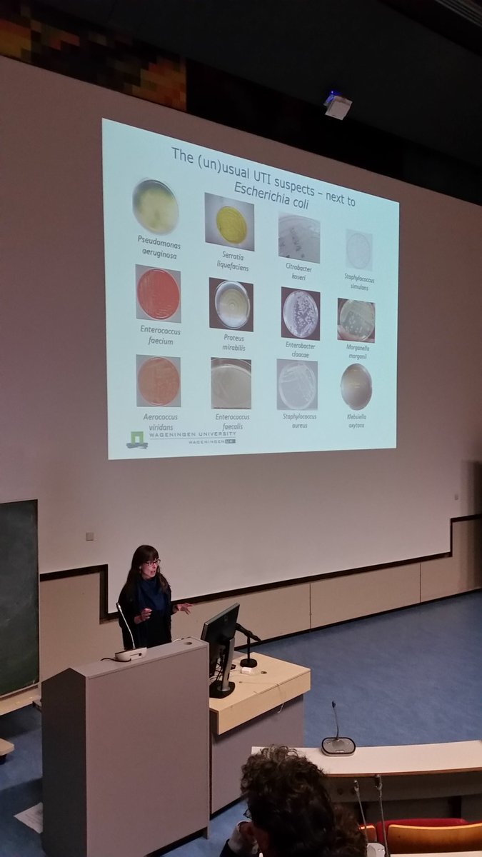 msmjetten's tweet photo. #gmm2016 colorful selection of unusual urinary tract infecting #bacteria @LizScurious https://t.co/y1PynRjY1t