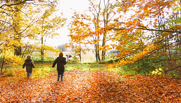 Geniet allemaal van de #herfstvakantie! #wijzijnerevenniet #wegensvakantiegesloten