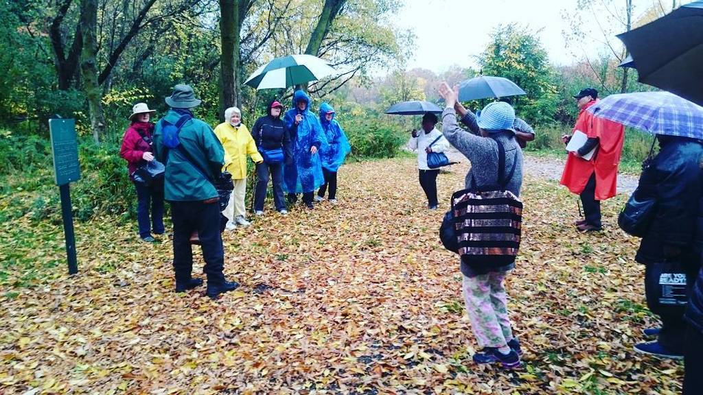 denisepinto's tweet image. Dancing in the rain on our @janeswalk with Rexdale seniors! #panampath #p4kpathfinding ift.tt/2e7pCZm