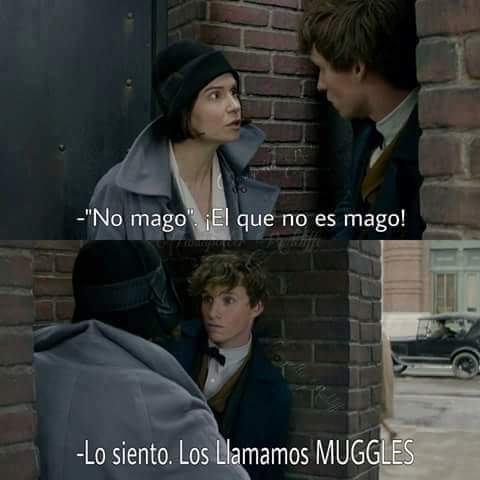 HarryLatino's tweet photo. Y ustedes... ¿Ya se acostumbraron a decir no-maj? ¿O prefieren la palabra "muggle"? #AFNoMago https://t.co/nwATxhef2P