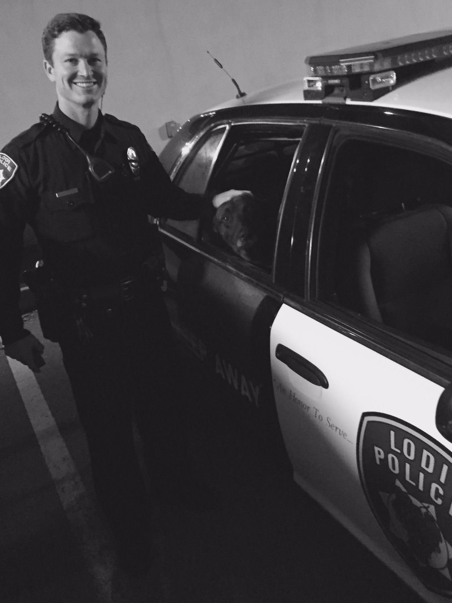 LodiPD_K9's tweet photo. Officer Carillo and his partner Cabo completed their first shift on patrol together last night! https://t.co/qARJau49SW
