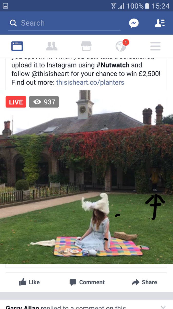 flange71's tweet photo. @heartnortheast #Nutwatch https://t.co/1CP5fsatRc
