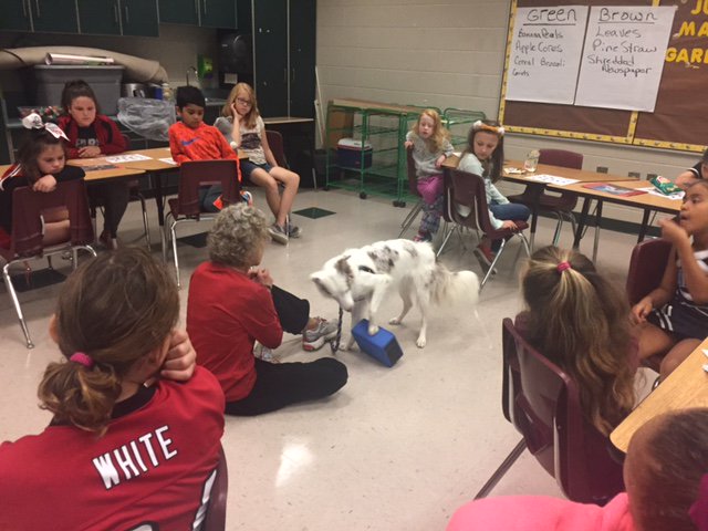 pearce_wade's tweet photo. We love Enrichment Day @CMCSIWarriors!  Great fun and learning for all! @Hall_Schools https://t.co/fVq6ZvGoWE