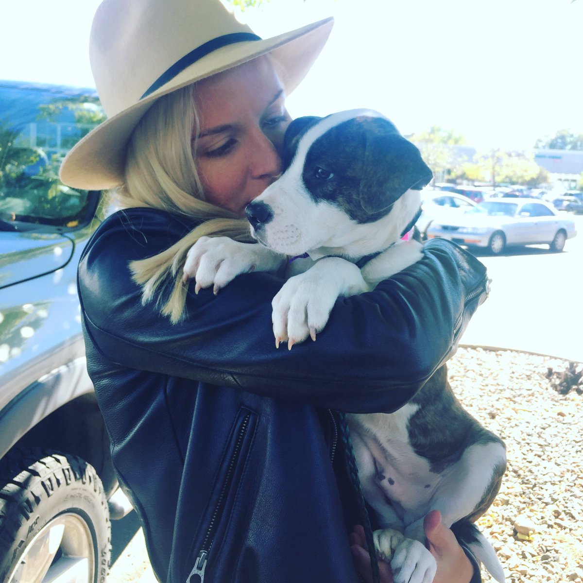 brandjuice's tweet photo. Introducing the youngest addition to BJC, Waylon! #fridayfurry #BJCpets #insidebrandjuice https://t.co/Zsyn54O9BF
