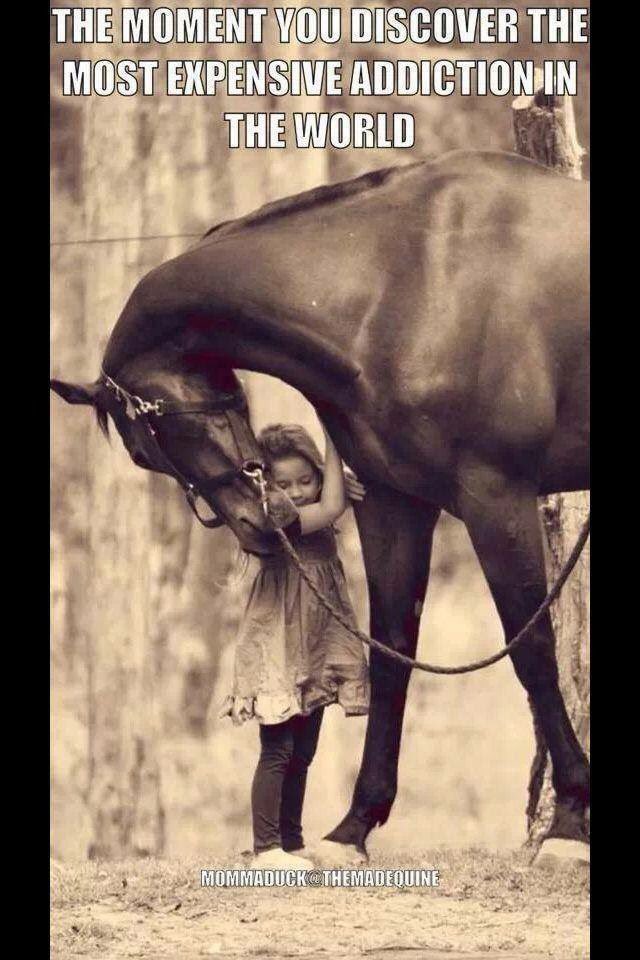 EquiMedAg's tweet photo. Yes I think we can all relate to this 😁 #Equestrian #Horses https://t.co/ozOXNoAhhn