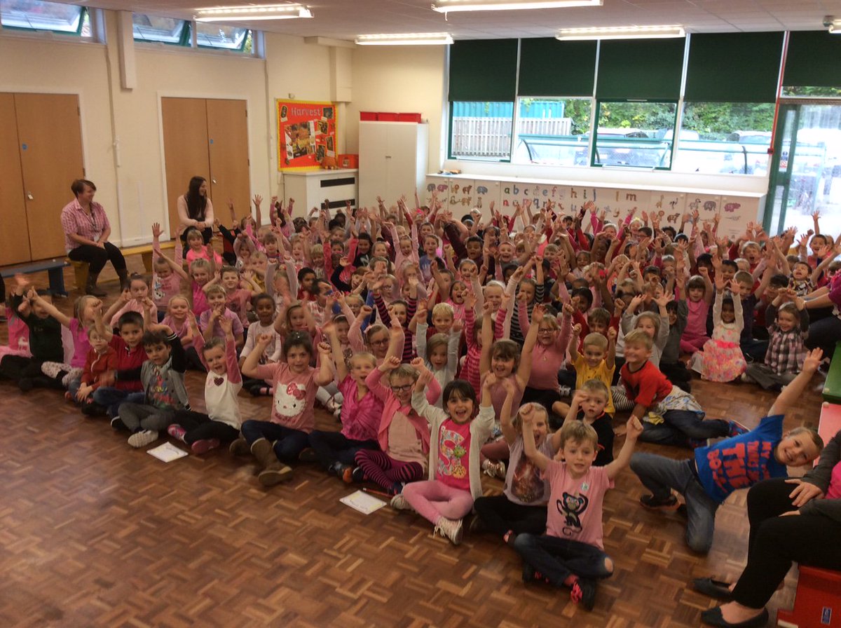 HSPrimary tweet picture