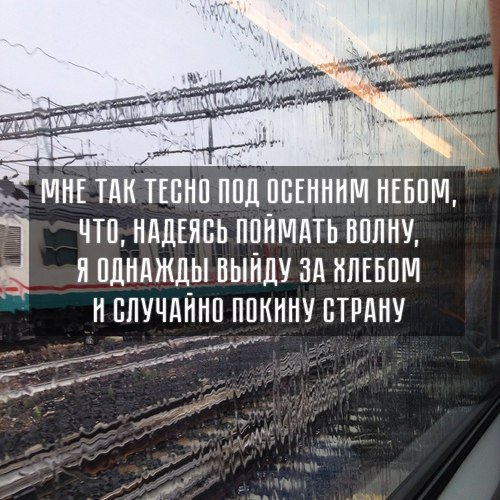 Мойша Рабинович (@rabmoisha) on Twitter photo 