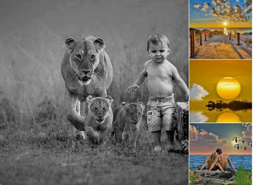 adelefree80's tweet image. 