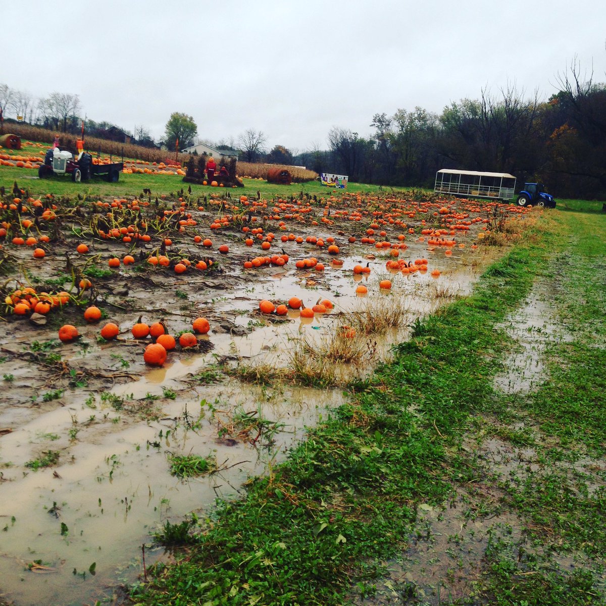 SchrammFarm's tweet photo. We're sad to report that Fall Festival activities are canceled TODAY and TOMORROW ! https://t.co/ZgKKIgPBlI