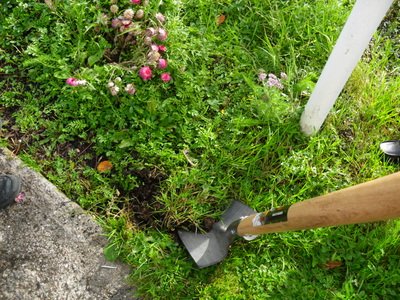 <a href="/croomns/">St.Mary's N.S. Croom</a> starting a tidy up before the weather turns <a href="/MetEireann/">Met Éireann</a> <a href="/croom_ie/">Croom.ie</a>