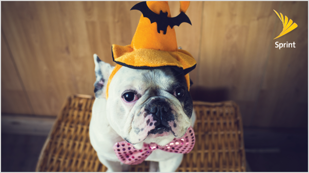 WRCorps's tweet photo. Tomorrow we're blowing the roof off for Halloween on this one! Stop in to @Sprint for deals that would scare @Verizon! #SprintSaysThanks https://t.co/RkYtURJ32Y
