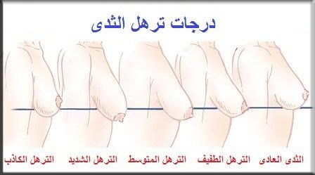 7Alannd7's tweet photo. https://t.co/7t8Cwm2dcu