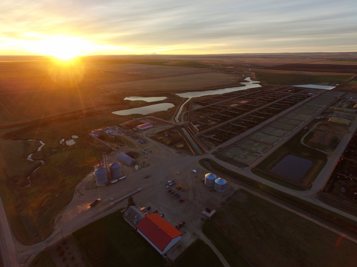 Dwight Morhart tweet media