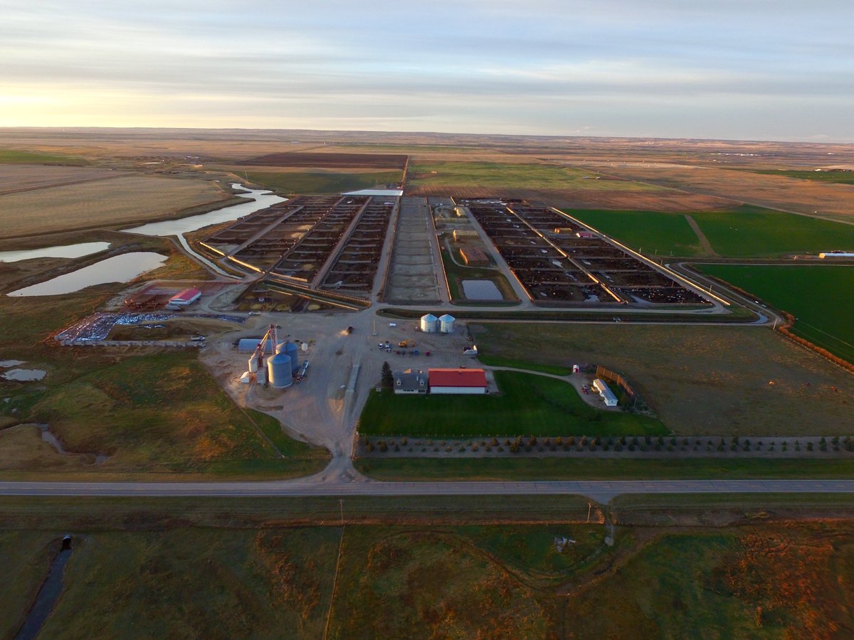 Dwight Morhart tweet media