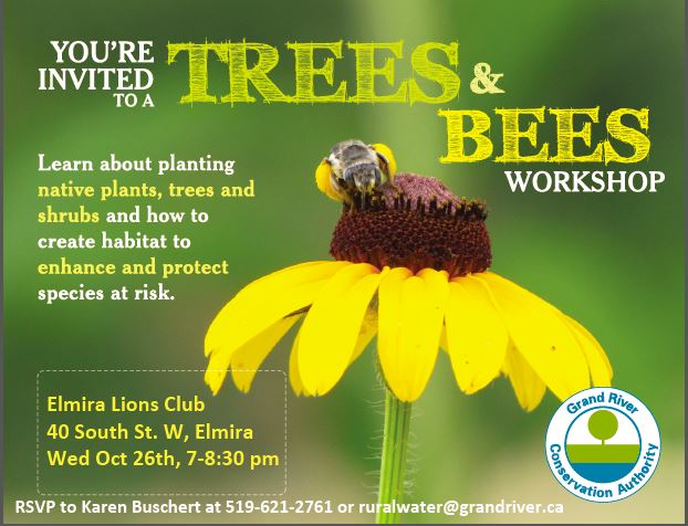 grandriverca's tweet image. How can you help #pollinators over the winter? Join us next week to find out! bit.ly/2dottyn