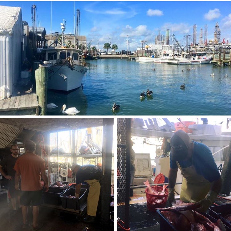 KatiesSeafood's tweet photo. Capt Kenny's last unload for a while! He'll be  headed north to do some hunting!
#fvfalcon #katiesseafood #gulfwild https://t.co/B6Q3exgI9g