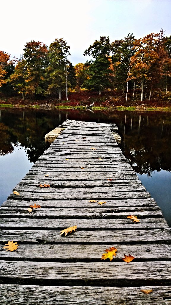 wmjdeaton's tweet photo. Stairway Lake. Pike Co. PA. #VisitPoconos https://t.co/JB7dyhnjgJ