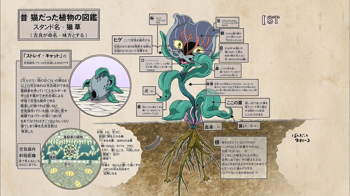 嘲笑のひよこ すすき 昔 猫だった植物の図鑑 スタンド名 猫草 ストレイ キャット 吉良が命名 味方とする ぼくだって生きている Jojo Jojo Anime ジョジョ ジョジョの奇妙な冒険 ダイヤモンドは砕けない Tokyomx T Co