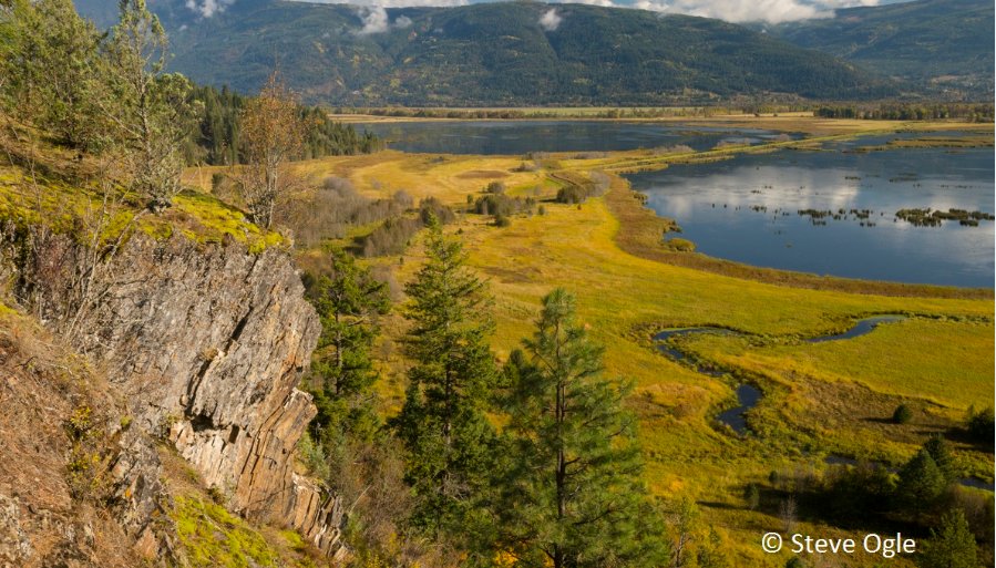 KClarkeWhistler's tweet photo. .@TD_Canada economist talks about the financial value of #forestconservation https://t.co/TNS717duoy #natcap #TDForests @BrianDePratto https://t.co/Uq9e0GxrBc