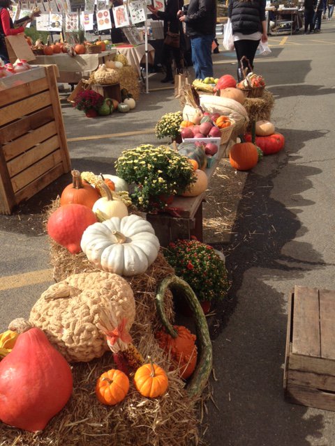 UnionMarketDC's tweet photo. Pumpkins galore! Embrace autumn + join Nalls Seasonal Market this Fri. &amp; Sat. from 11am-5pm for pumpkins, cider, and more fall fun! https://t.co/USeZIOoJRi