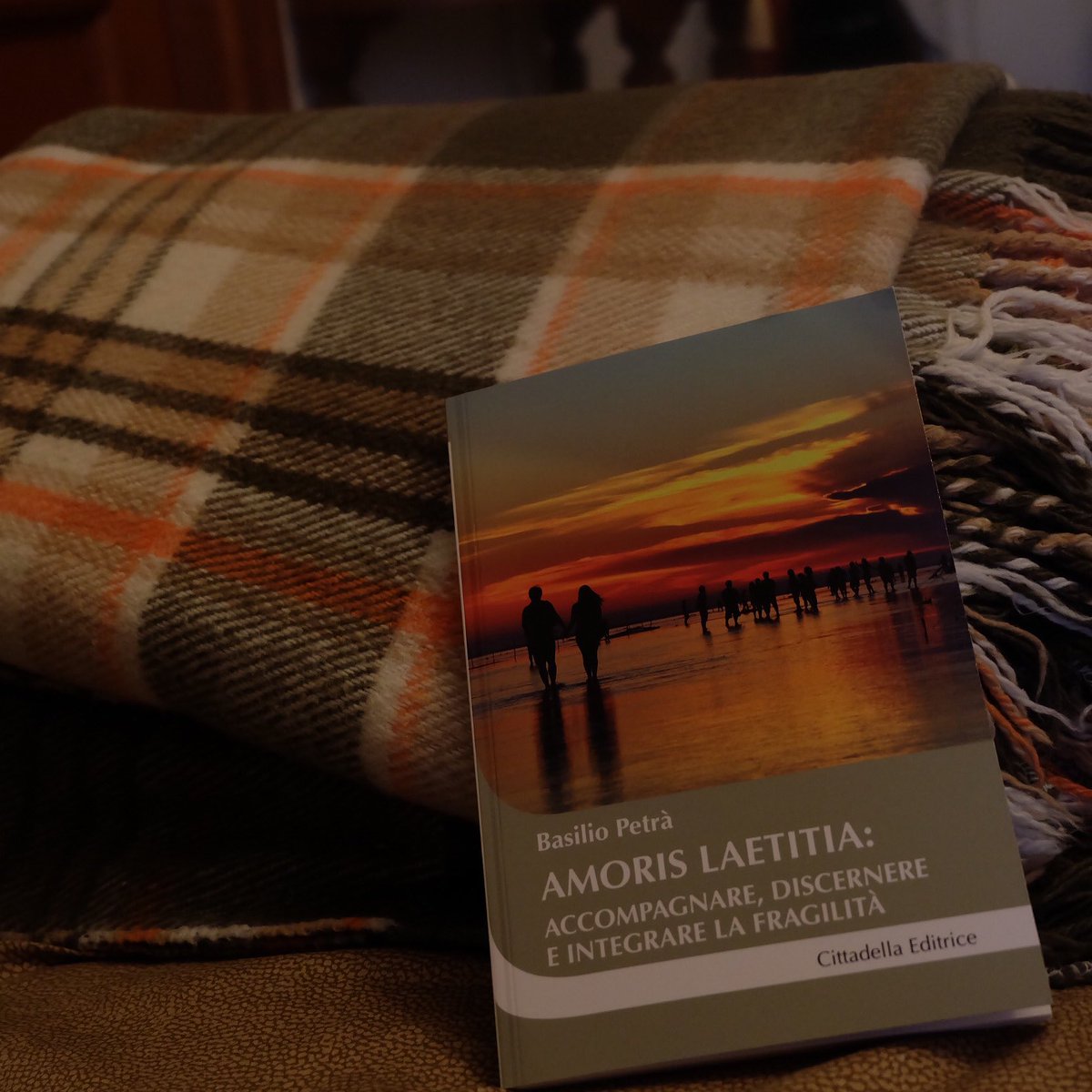 EditCittadella's tweet photo. #amorislaetitia tra le #novità #libri di #cittadella #editrice ! In #libreria ! https://t.co/NhbFKmVbw6