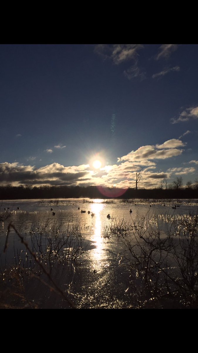 The anticipation is building; only one more day till the Central Illinois duck opener.