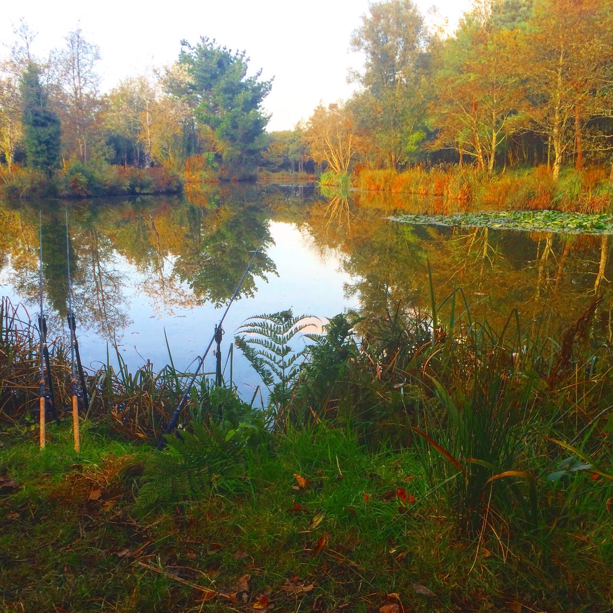 carpmarathon's tweet photo. Here's the scene as I go Into dark for the last few hours of the trip, Is their One more bite to come? #PatsPool https://t.co/odyhZuAJEa