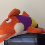 Photo by Pete the HDU Perch (@HDU_Perch)