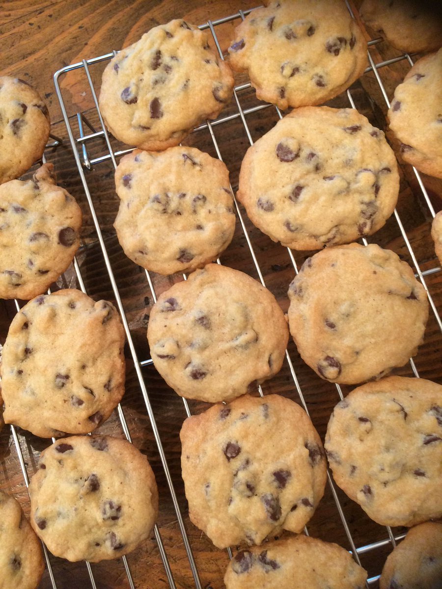 Kimberly Gutelius tweet media