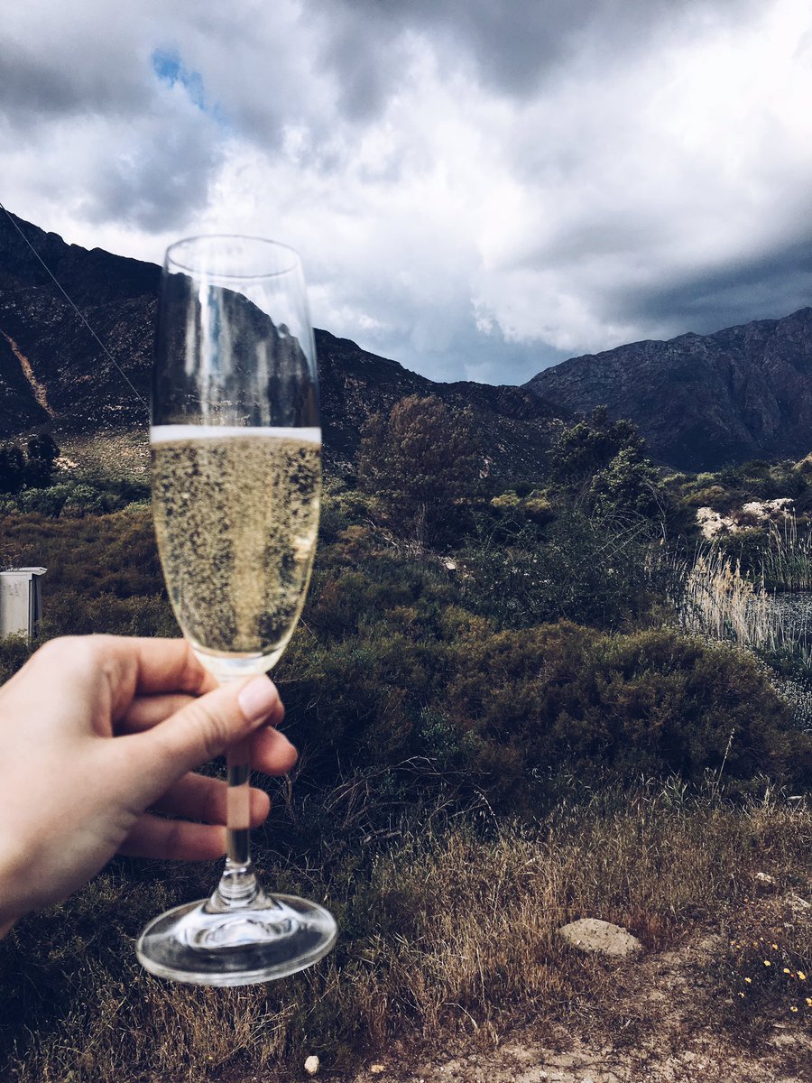 #ChampagneDay #happyhappy