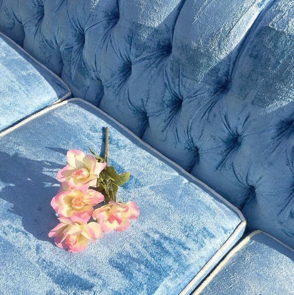 ondevagabonde's tweet photo. Mayan Toledano
#blue_velvet
cc @roodaoola
via @PetiteTouche https://t.co/hystyU4f6i