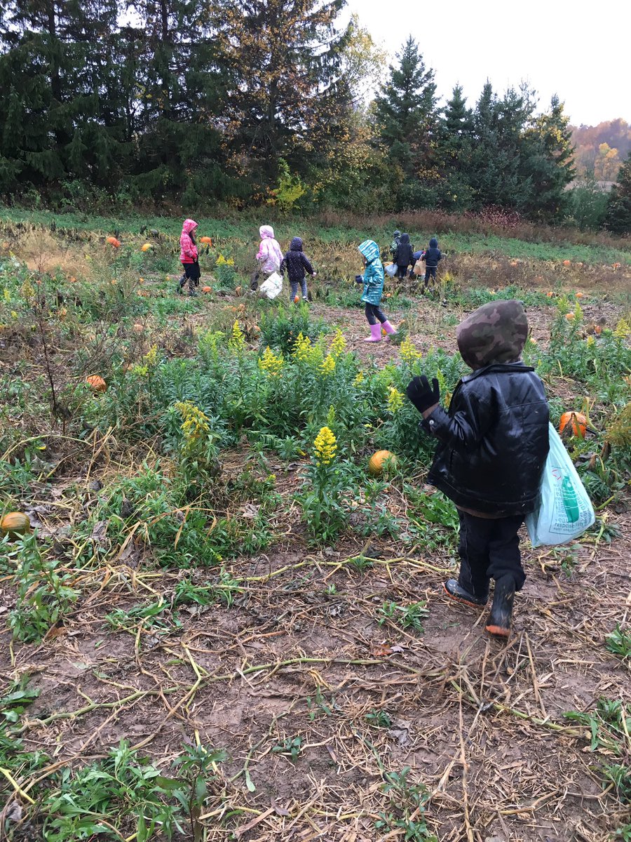 SarahHunterBra2's tweet photo. The rain can't stop us! We loved our morning at Brantwood Farms! https://t.co/wQM17BXwot
