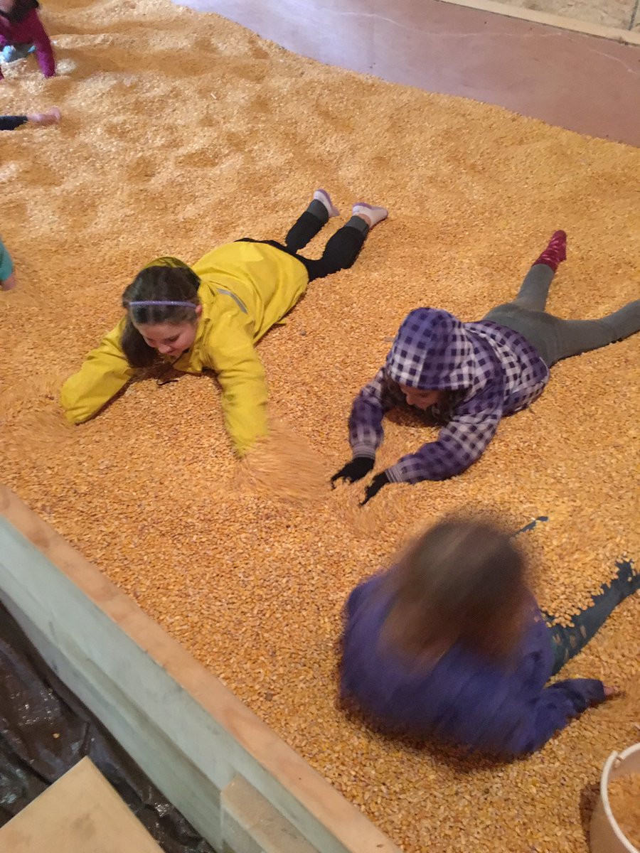 SarahHunterBra2's tweet photo. The rain can't stop us! We loved our morning at Brantwood Farms! https://t.co/wQM17BXwot
