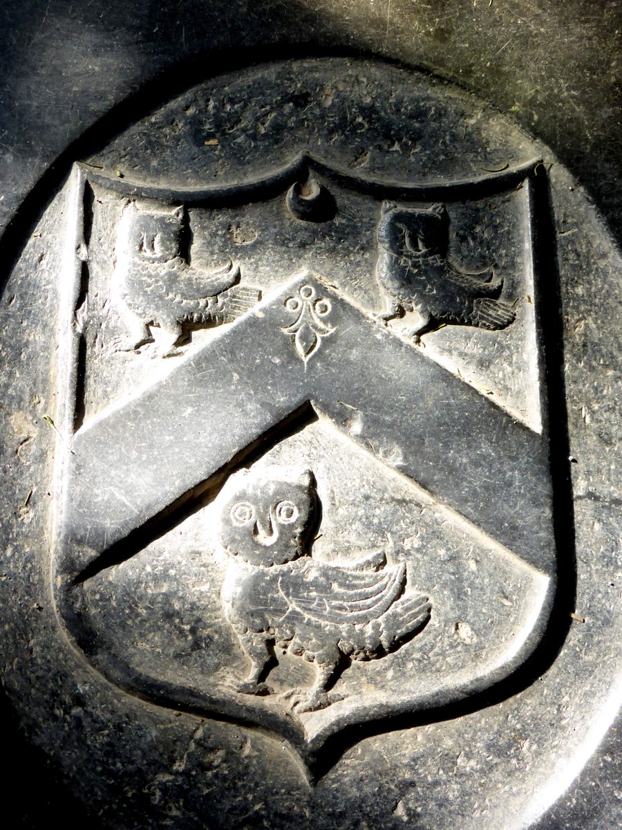 Who says history is boring? Is this not the best owl in Hampshire? #hampshire #owl #north stoneham #FridayFeeling